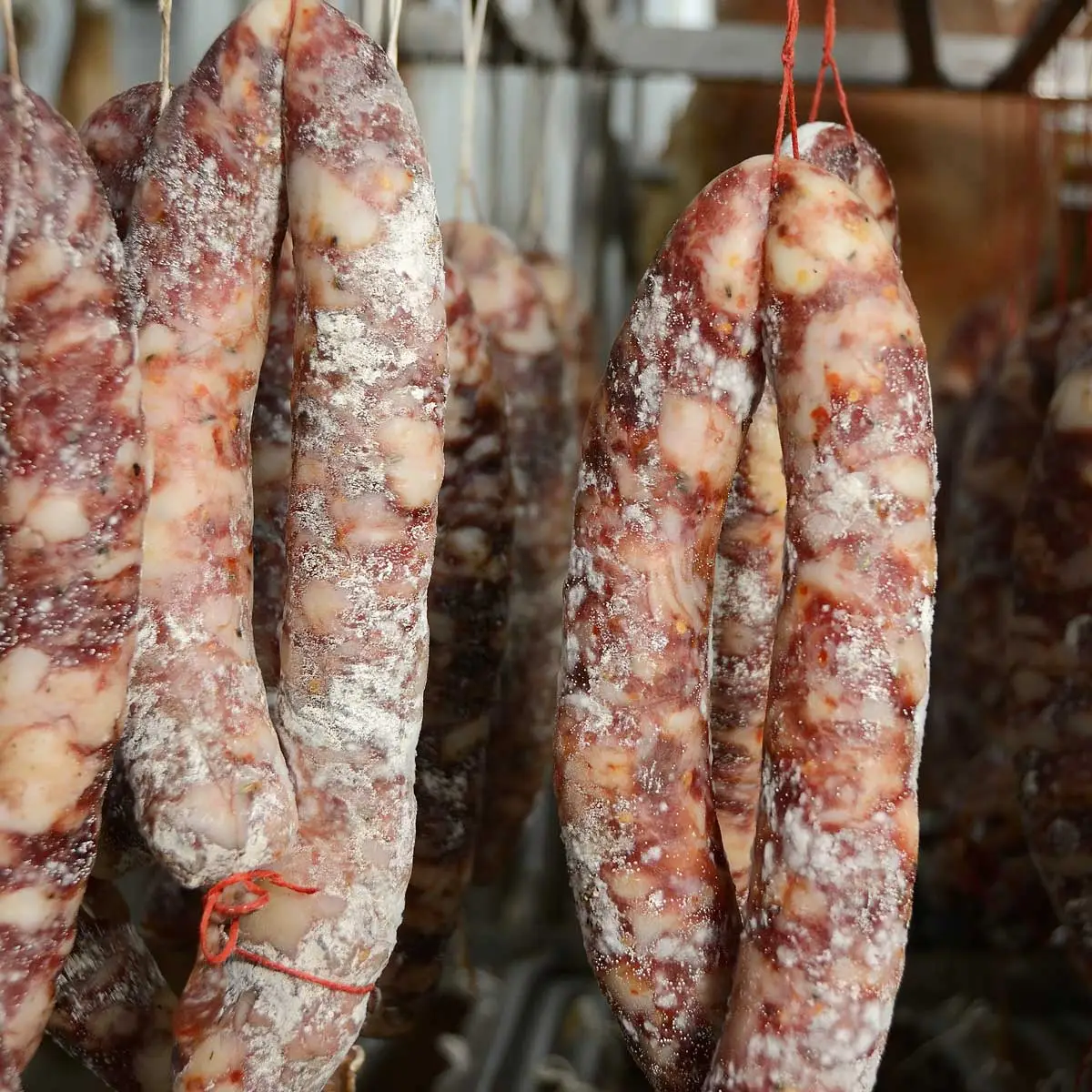 Nebrodi Sicilia, suino nero dei nebrodi